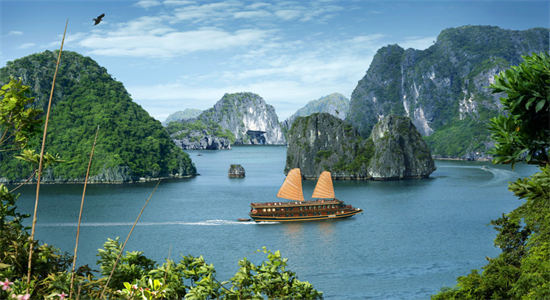 Ha Long Bay One Day Tour