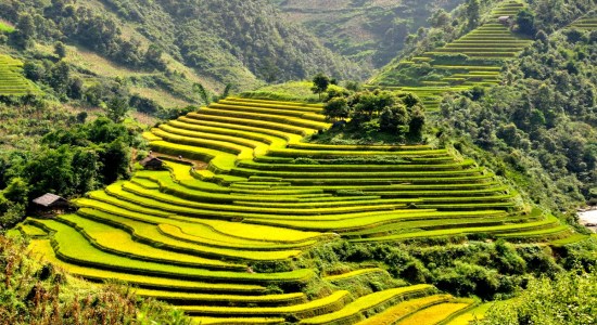 Travel Sapa