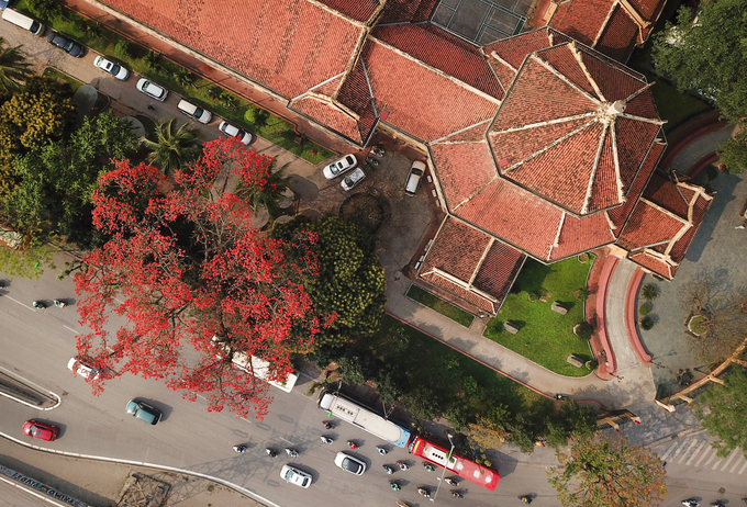 Ho Chi Minh Daily Tours